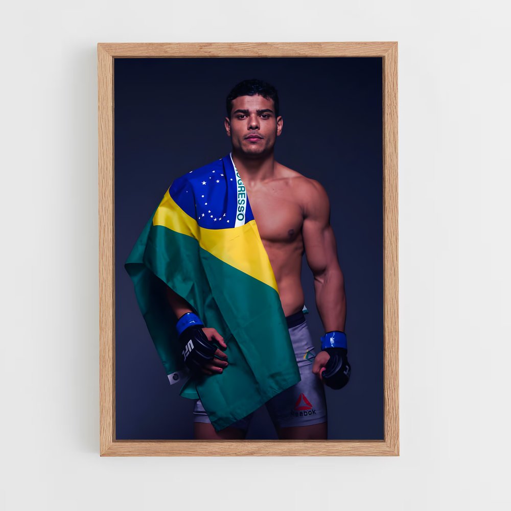 Poster Le Drapeau de la Liberté – affiche MMA (vue 4)